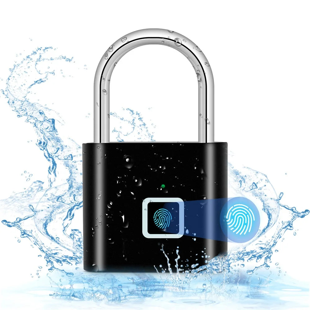 Anti-theft portable lock with fingerprint